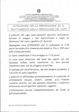 Opuscolo pediculosi - Istituto Comprensivo Borgosatollo