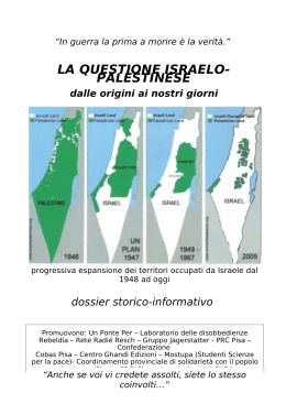 la questione israelo-palestinese