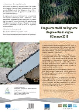 Il regolamento UE sul legname illegale entra in vigore il