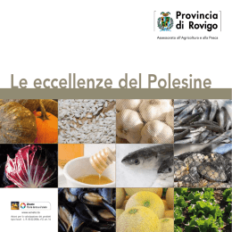 Le eccellenze del Polesine - Pianificazione territoriale di