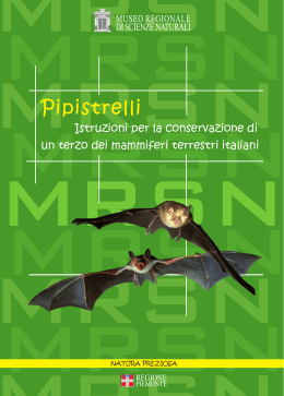 Pipistrelli - Centro Regionale Chirotteri