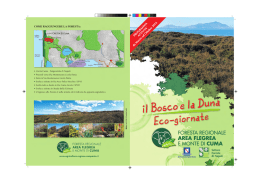 Opuscolo Il Bosco e #7B613.fh11