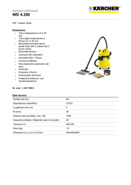 WD 4.200