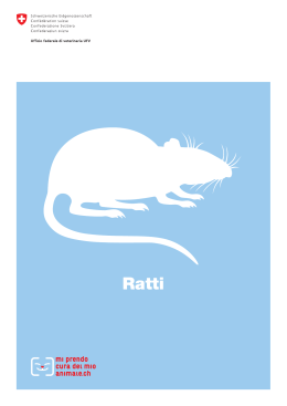 Ratti - Tierdatenbank.ch