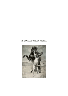 Il cavallo nella storia