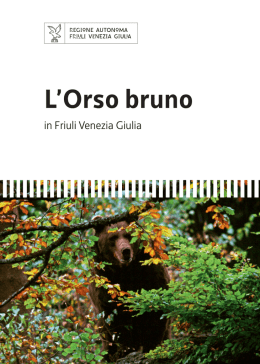 L`Orso bruno - Regione Autonoma Friuli Venezia Giulia