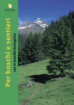 Volume GEV - Comunit&agrave; Montana Sondrio