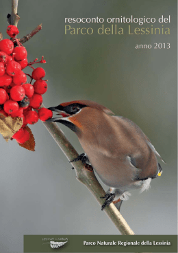 Anno 2013 - verona birdwatching