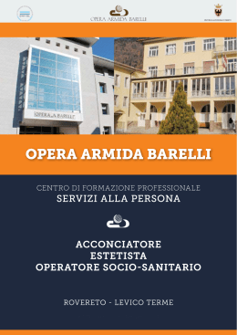 www.operaarmidabarelli.org
