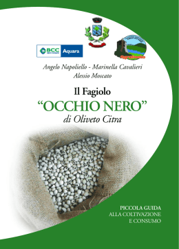 Il Fagiolo "occhio nero" - Comune di Oliveto Citra