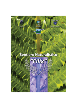 Sentiero delle Felci - Comune di BOCCIOLETO