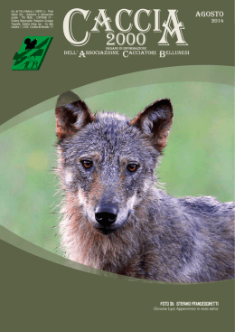l`ultimo numero di Caccia 2000 - Associazione Cacciatori Bellunesi