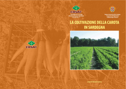 La coltivazione della carota in Sardegna [file ]