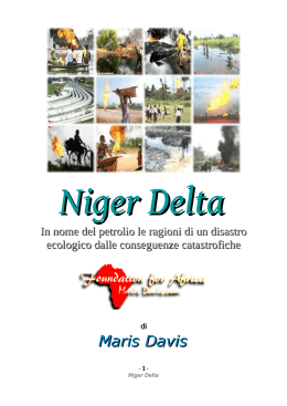 Niger Delta - Maris Davis Foundation for Africa