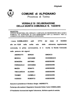 verbale di deliberazione della giunta comunale n. 132/2010