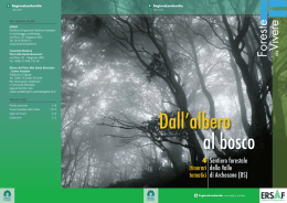 Sentiero forestale della Valle di Archesane
