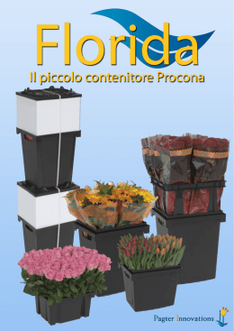 Il piccolo contenitore Procona