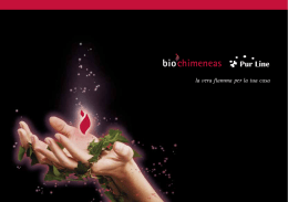 il combustibile - Biochimeneas.com