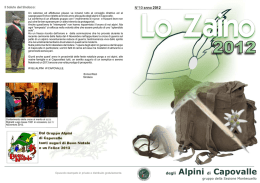 zaino 2012