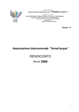 Consuntivo anno 2008