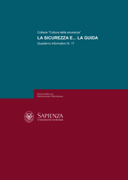 La sicurezza e la guida