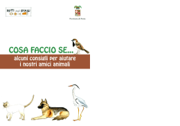 cosa faccio se... - Comune di SAN CIPRIANO PO