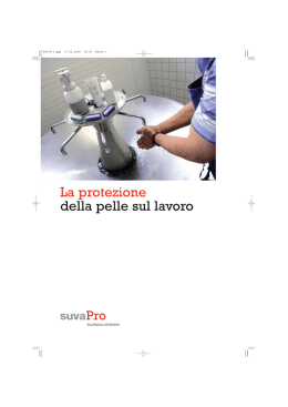La protezione della pelle sul lavoro - &ldquo;E. De Giorgi&rdquo; &ndash; Universit&agrave; del