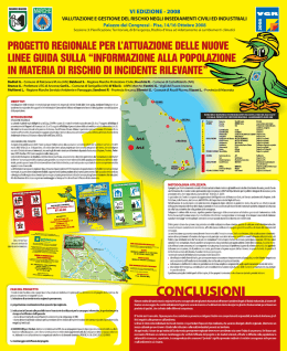 VI EDIZIONE - 2008 VALUTAZIONE E GESTIONE DEL RISCHIO