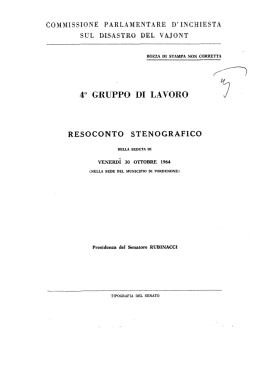 1.9.13 Resoconto stenografico della seduta della