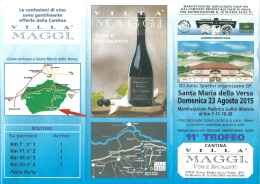 Le confezioni di vino