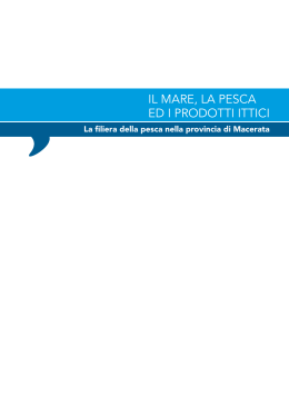 Opuscolo pesci Mar Adriatico - pesce d`autunno