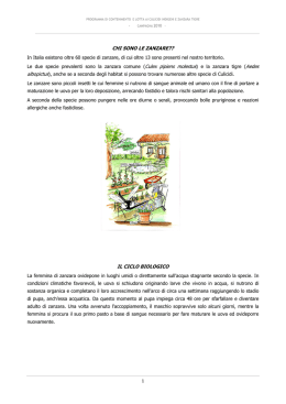 Opuscolo informativo