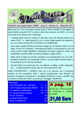 Il 20&deg; Raduno Nazionale ANGET 10 - 11