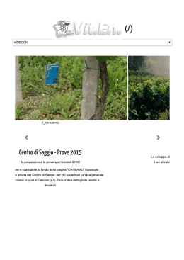 Vit.En. - Simply Italian Great Wines Germany Tour