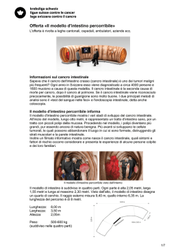 Offerta &laquo;Il modello d`intestino percorribile&raquo;