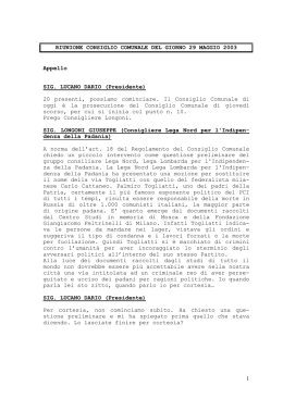 verbale del 29.05.2003