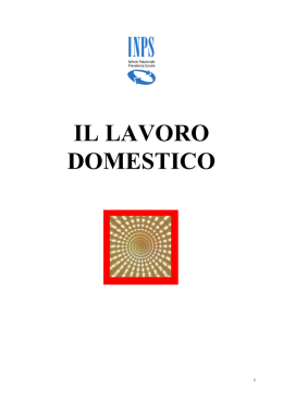 IL LAVORO DOMESTICO
