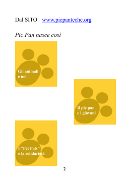 opuscolo - PIC PAN