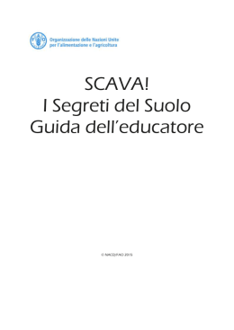 Scava! i segreti del suolo
