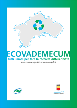 opuscolo - Falchi del Sud