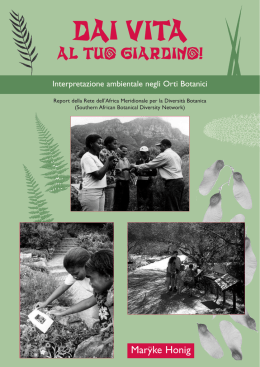 Scarica la versione elettronica in