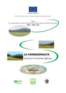 la condizionalit&agrave;