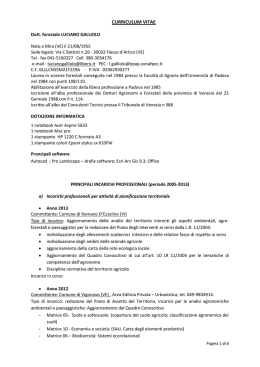 Curriculum GALLIOLO