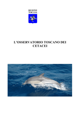 l`osservatorio toscano dei cetacei