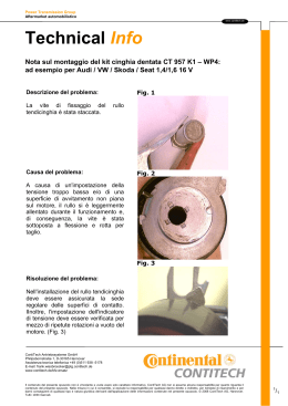 Technical Info 38 / 2013 (it) - Power Transmission Group