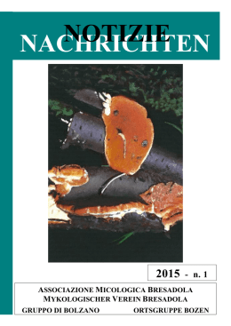Notiziario nr.1 - 2015 ()