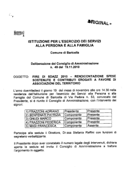 Fire di Sdazz 2010. Rendicontazione spese