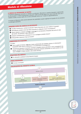 Modulo di riflessione