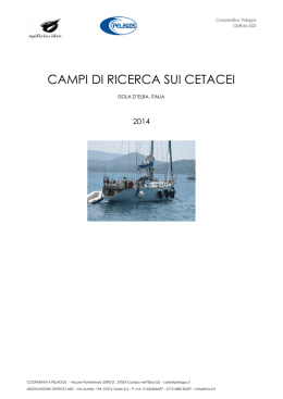campi di ricerca sui cetacei