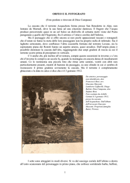 Scarica in formato Pdf